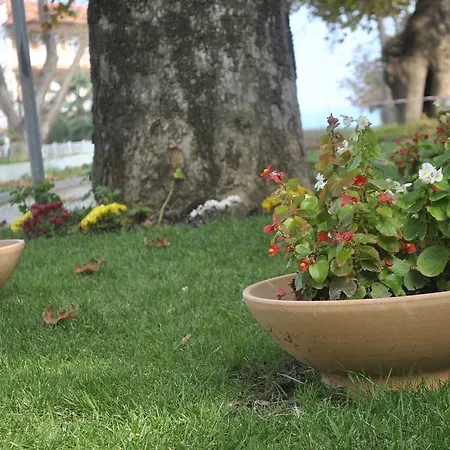 Ifigenia Leptokarya (Pieria)