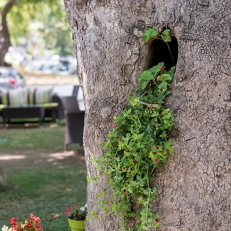 Ifigenia * Leptokariá